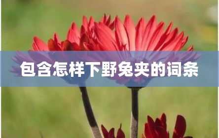 包含怎样下野兔夹的词条