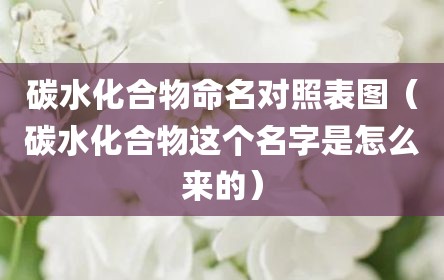 碳水化合物命名对照表图（碳水化合物这个名字是怎么来的）