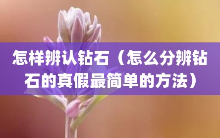 怎样辨认钻石（怎么分辨钻石的真假最简单的方法）