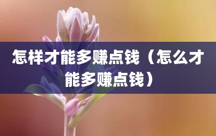 怎样才能多赚点钱（怎么才能多赚点钱）