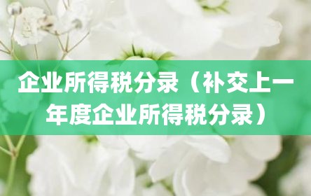 企业所得税分录（补交上一年度企业所得税分录）