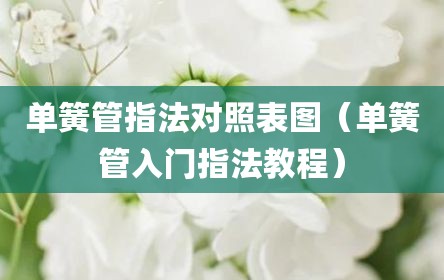 单簧管指法对照表图（单簧管入门指法教程）