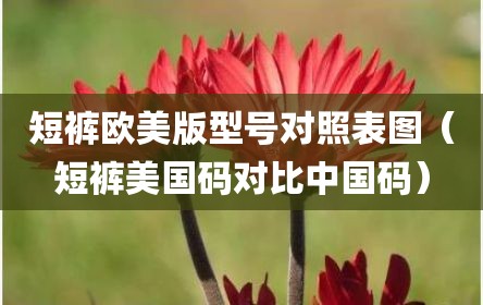 短裤欧美版型号对照表图（短裤美国码对比中国码）