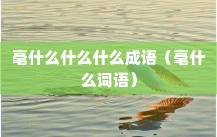 毫什么什么什么成语（毫什么词语）