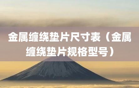 金属缠绕垫片尺寸表（金属缠绕垫片规格型号）