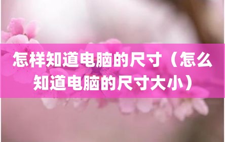 怎样知道电脑的尺寸（怎么知道电脑的尺寸大小）
