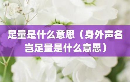 足量是什么意思（身外声名岂足量是什么意思）
