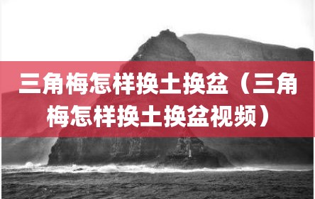 三角梅怎样换土换盆（三角梅怎样换土换盆视频）