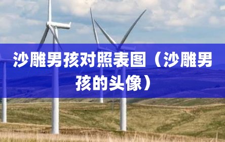 沙雕男孩对照表图（沙雕男孩的头像）