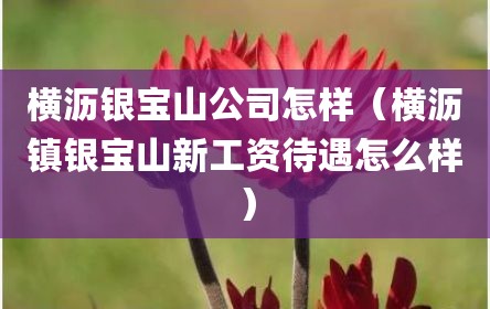 横沥银宝山公司怎样（横沥镇银宝山新工资待遇怎么样）