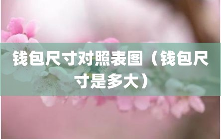 钱包尺寸对照表图（钱包尺寸是多大）