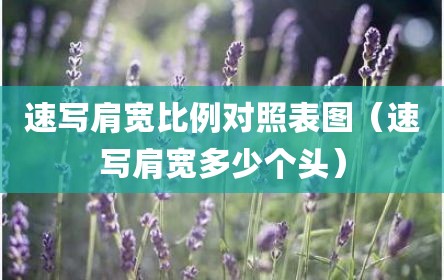 速写肩宽比例对照表图（速写肩宽多少个头）