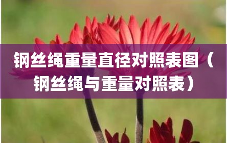 钢丝绳重量直径对照表图（钢丝绳与重量对照表）