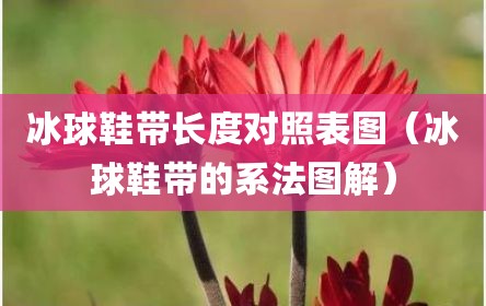 冰球鞋带长度对照表图（冰球鞋带的系法图解）