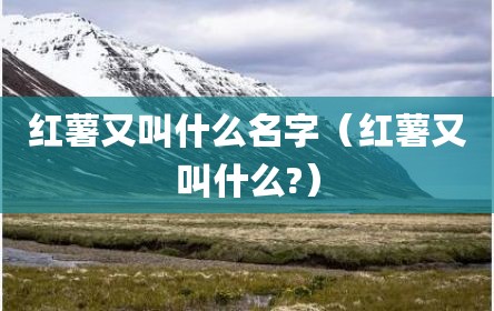 红薯又叫什么名字（红薯又叫什么?）