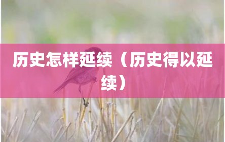历史怎样延续（历史得以延续）
