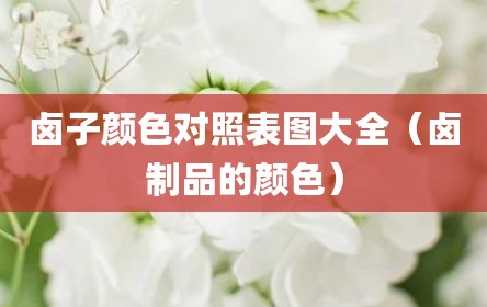 卤子颜色对照表图大全（卤制品的颜色）