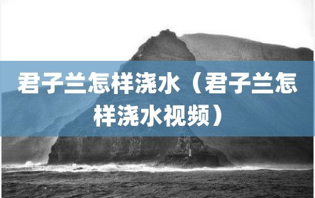 君子兰怎样浇水（君子兰怎样浇水视频）