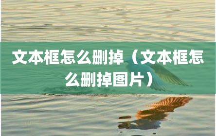 文本框怎么删掉（文本框怎么删掉图片）