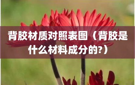 背胶材质对照表图（背胶是什么材料成分的?）