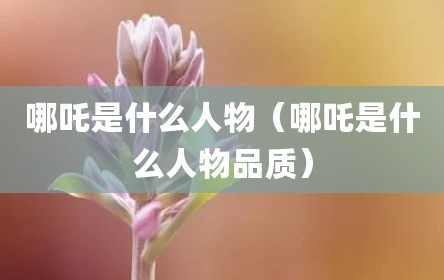 哪吒是什么人物（哪吒是什么人物品质）