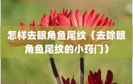 怎样去眼角鱼尾纹（去除眼角鱼尾纹的小窍门）