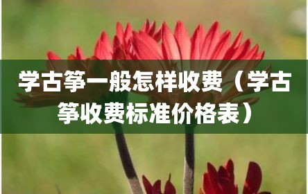 学古筝一般怎样收费（学古筝收费标准价格表）