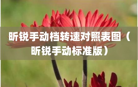 昕锐手动档转速对照表图（昕锐手动标准版）