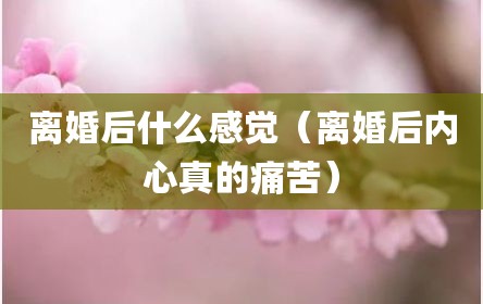 离婚后什么感觉（离婚后内心真的痛苦）