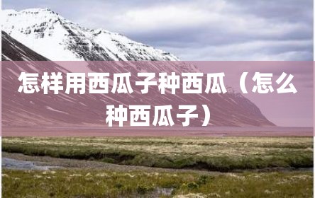怎样用西瓜子种西瓜（怎么种西瓜子）