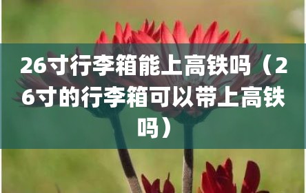 26寸行李箱能上高铁吗（26寸的行李箱可以带上高铁吗）