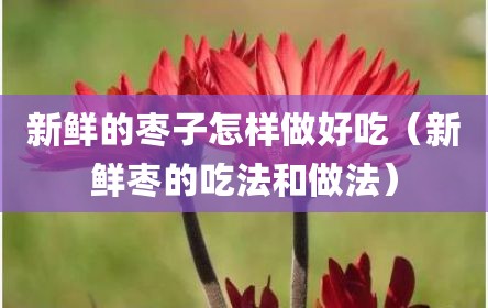 新鲜的枣子怎样做好吃（新鲜枣的吃法和做法）
