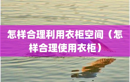 怎样合理利用衣柜空间（怎样合理使用衣柜）