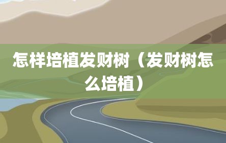 怎样培植发财树（发财树怎么培植）