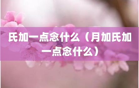 氏加一点念什么（月加氏加一点念什么）