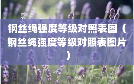 钢丝绳强度等级对照表图（钢丝绳强度等级对照表图片）