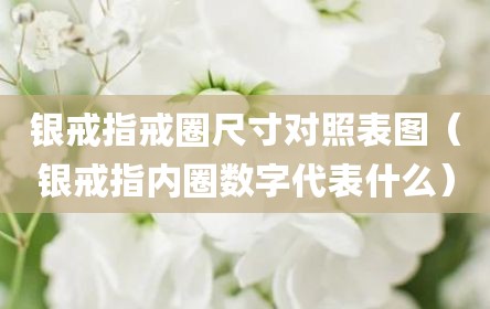 银戒指戒圈尺寸对照表图（银戒指内圈数字代表什么）