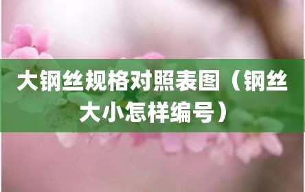 大钢丝规格对照表图（钢丝大小怎样编号）