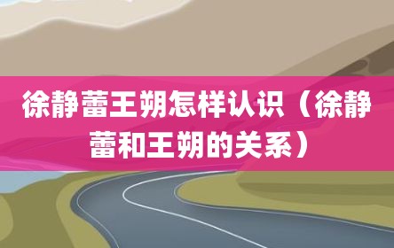 徐静蕾王朔怎样认识（徐静蕾和王朔的关系）