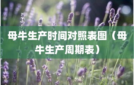 母牛生产时间对照表图（母牛生产周期表）
