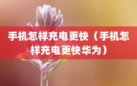 手机怎样充电更快（手机怎样充电更快华为）