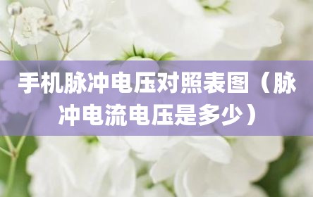 手机脉冲电压对照表图（脉冲电流电压是多少）