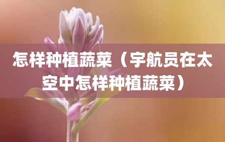 怎样种植蔬菜（宇航员在太空中怎样种植蔬菜）