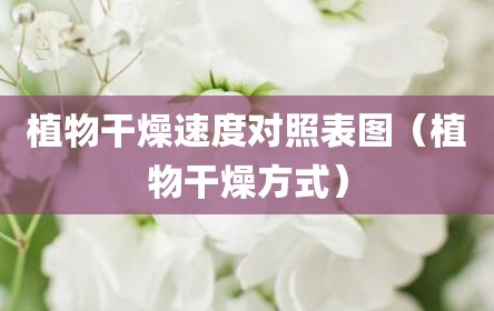 植物干燥速度对照表图（植物干燥方式）