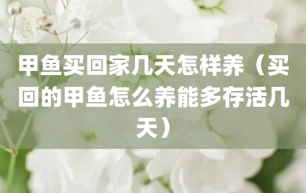 甲鱼买回家几天怎样养（买回的甲鱼怎么养能多存活几天）