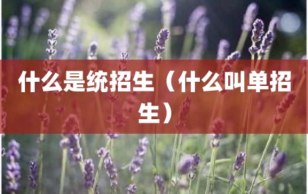 什么是统招生（什么叫单招生）