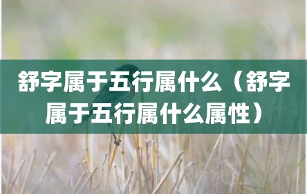 舒字属于五行属什么（舒字属于五行属什么属性）