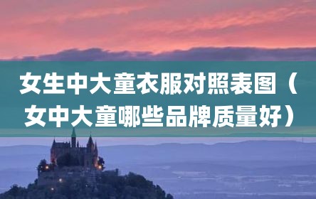 女生中大童衣服对照表图（女中大童哪些品牌质量好）
