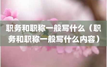 职务和职称一般写什么（职务和职称一般写什么内容）
