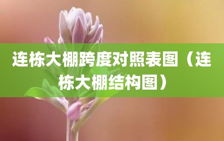 连栋大棚跨度对照表图（连栋大棚结构图）